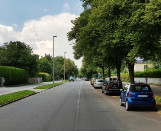 U5-Weiterbau nach Pasing: Warum müssen so viele Bäume dran glauben?