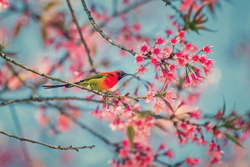 Frühlingserwachen in Laim: Kinderchöre laden zum Mitsingen ein