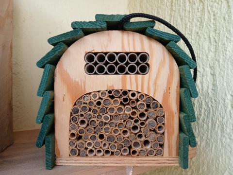 Bienen in Laim: Unser Stadtteil summt!